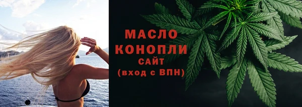 твердый Ладушкин