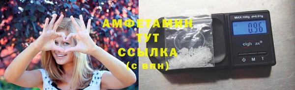 твердый Ладушкин