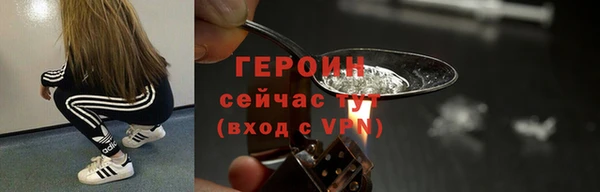 твердый Ладушкин