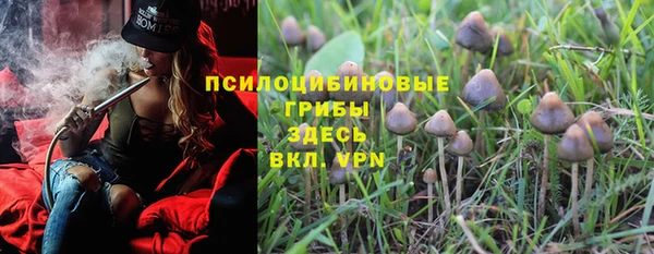 твердый Ладушкин