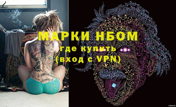 твердый Ладушкин
