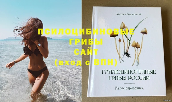 гашиш Лабытнанги